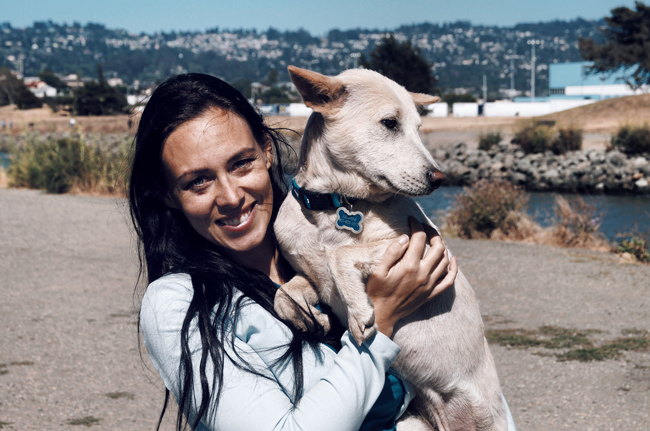 A Tuck MBA Crusades Against Chinese Dog Slaughtering