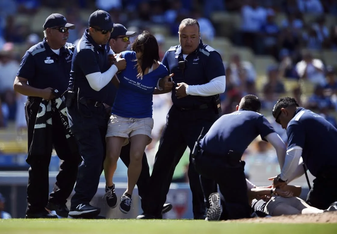 Animal Rights Protesters Delay Dodgers-Rockies Game