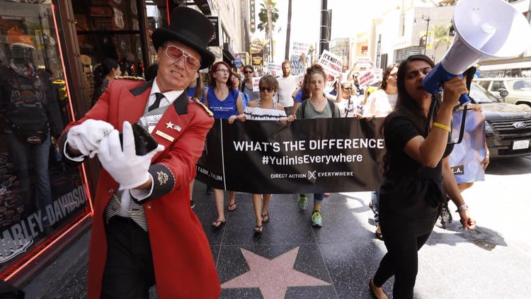 Animal rights protesters who interrupted Dodger game stop traffic in Hollywood - Kind of