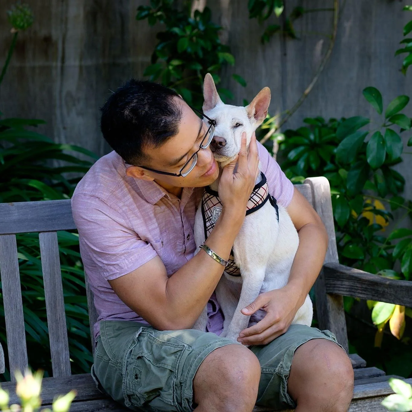 Rescuer Wayne Hsiung with Oliver, a dog rescued from a farm in Yulin, China .