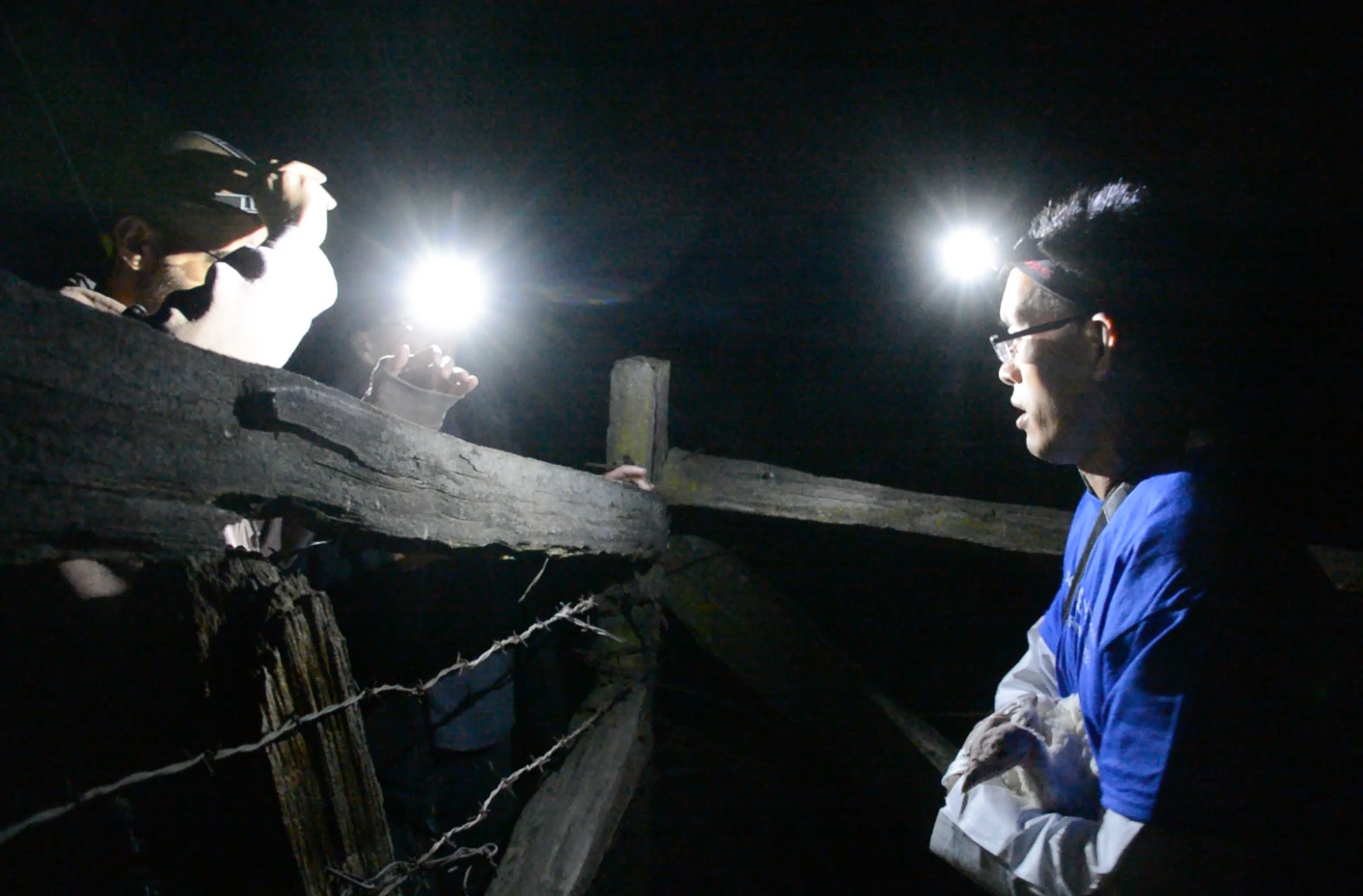 Wayne Hsiung passes Sara, a bird from Whole Foods' Diestel Turkey Ranch, to Samer Masterson.