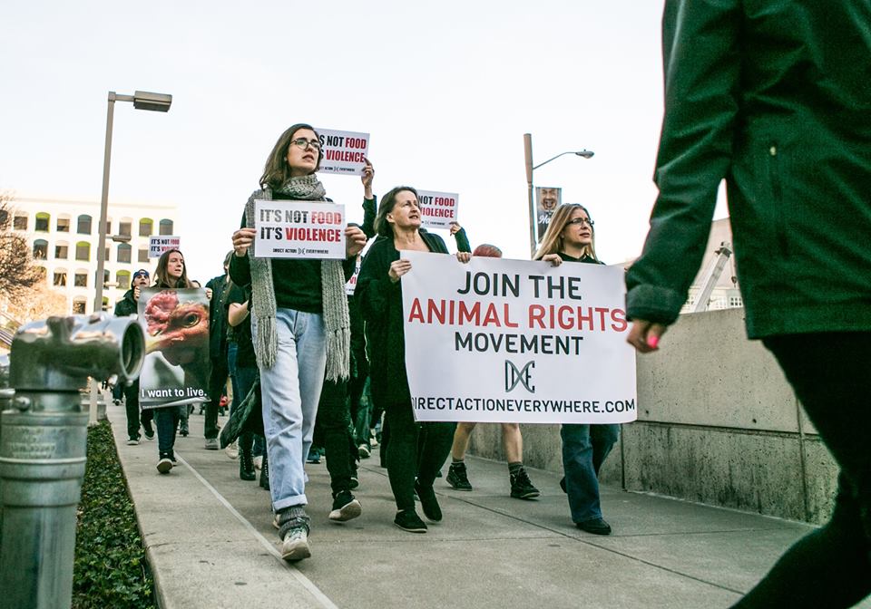  Join us in creating a better world for all animals, so that no one has to live in the conditions Ella lived in.