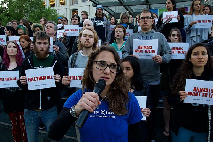 Kelsey Atkinson, activist with DxE Chicago, performing a beat poem as hundreds of activists sing the accompanying song. Photographs by Michael Goldberg.