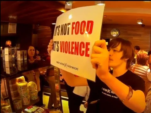 matthew disruption butcher shop.jpg