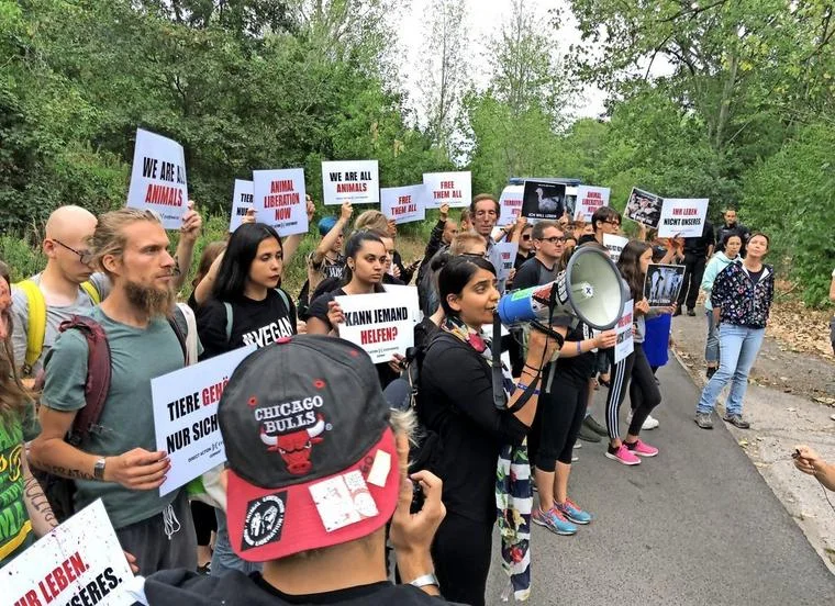 DxE organizer Priya Sawhney leads a protest in Berlin.