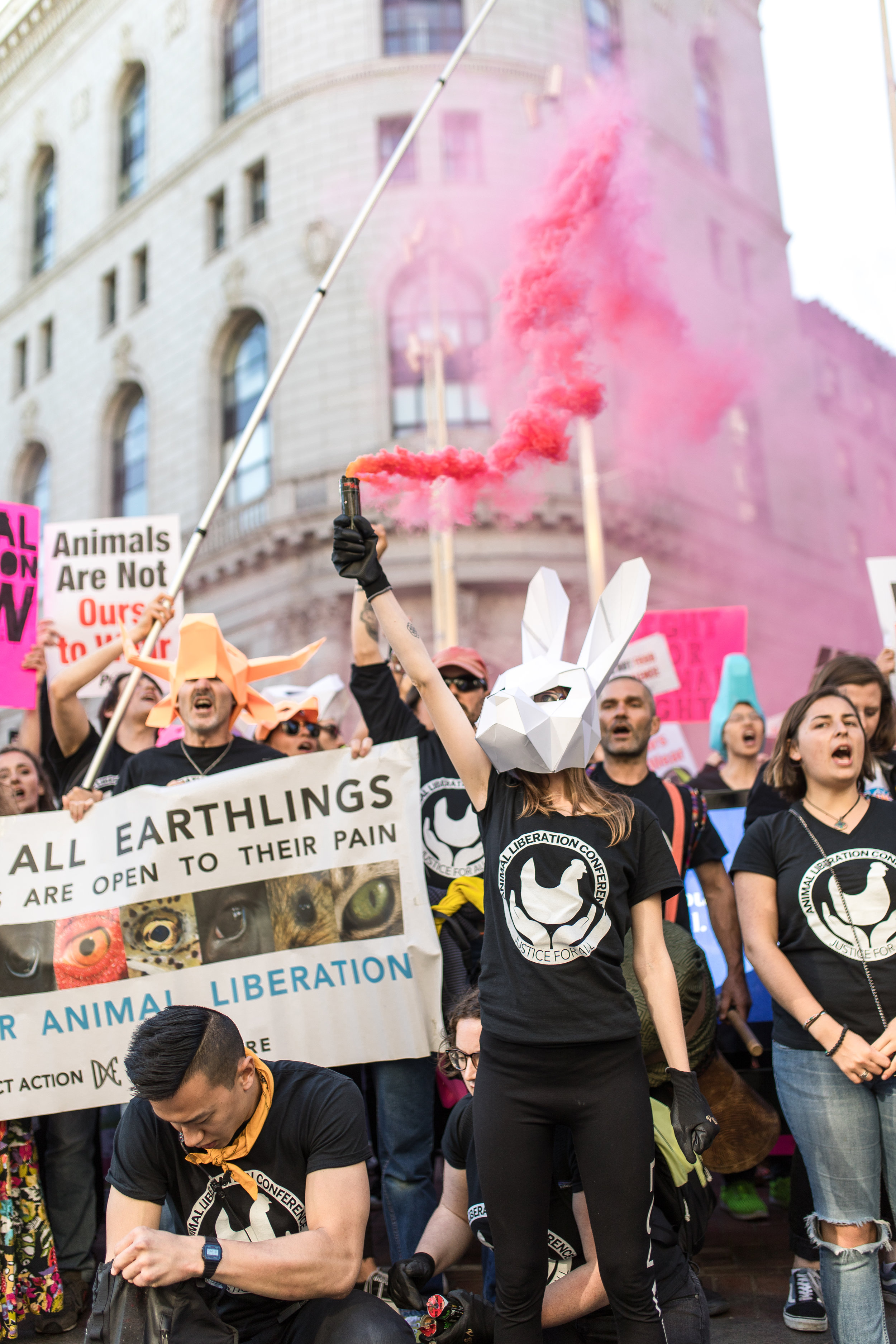1,000 activists marched in San Francisco during the 2018 Animal Liberation Conference.