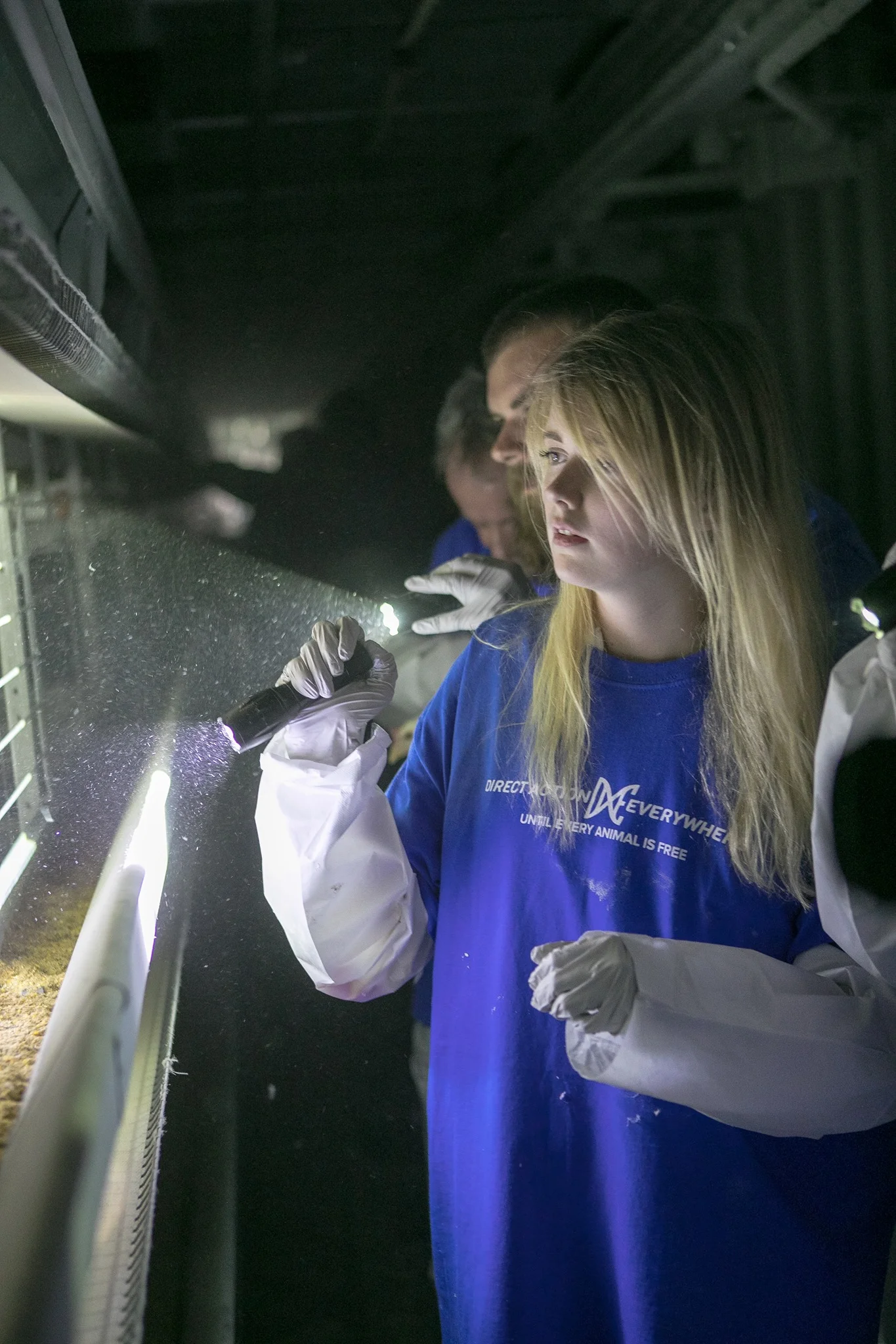 Activists investigate an egg farm during the 2018 Animal Liberation Conference.