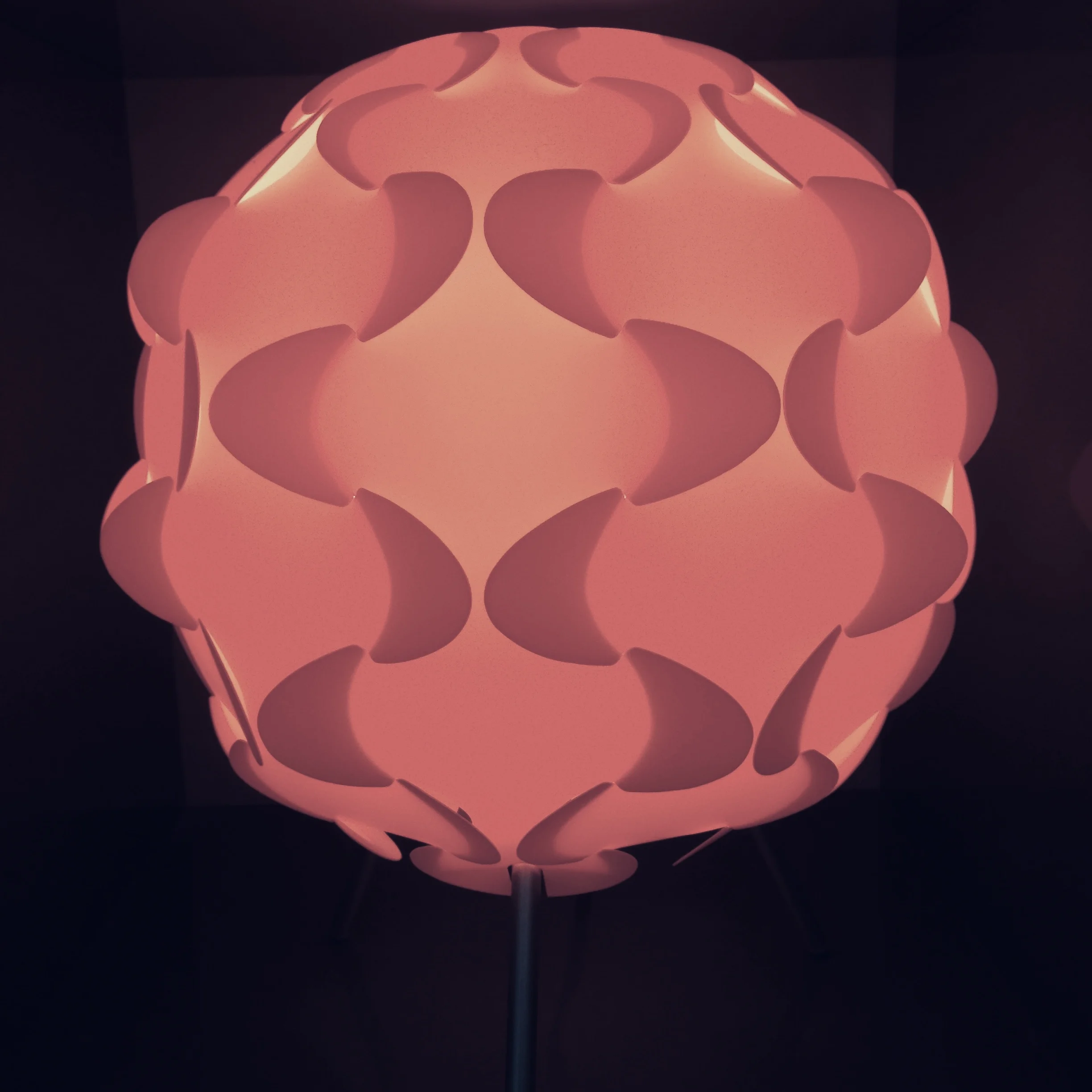fullsizeoutput_13ae.jpeg