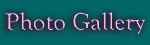 button_pg_act.gif