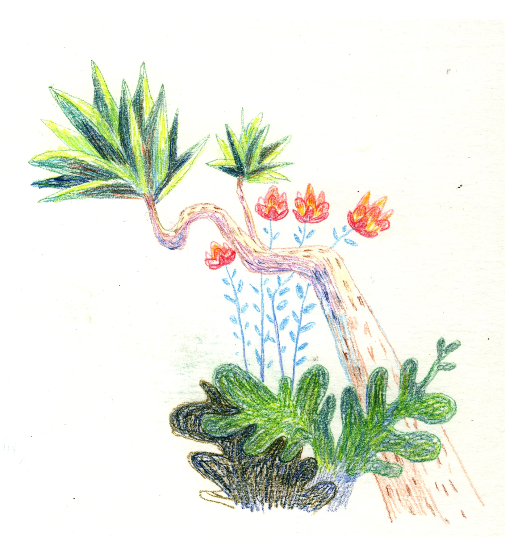 Stern Family stories jungle trees development