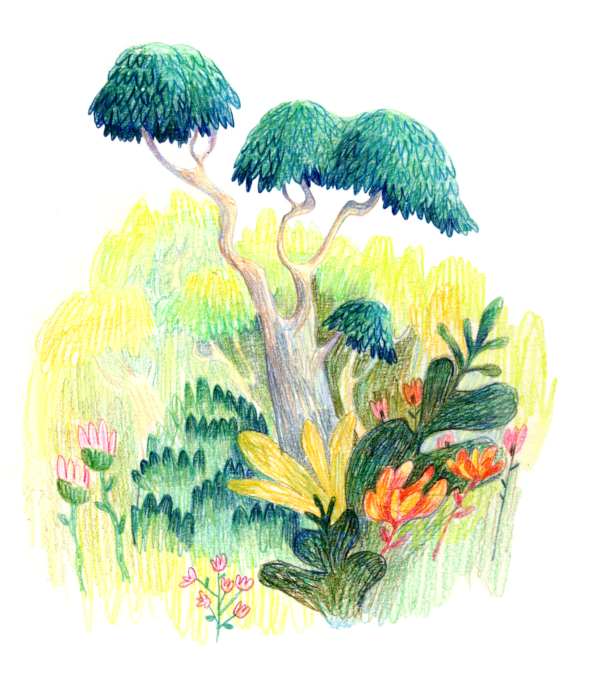 jungle_development__B_02.jpg