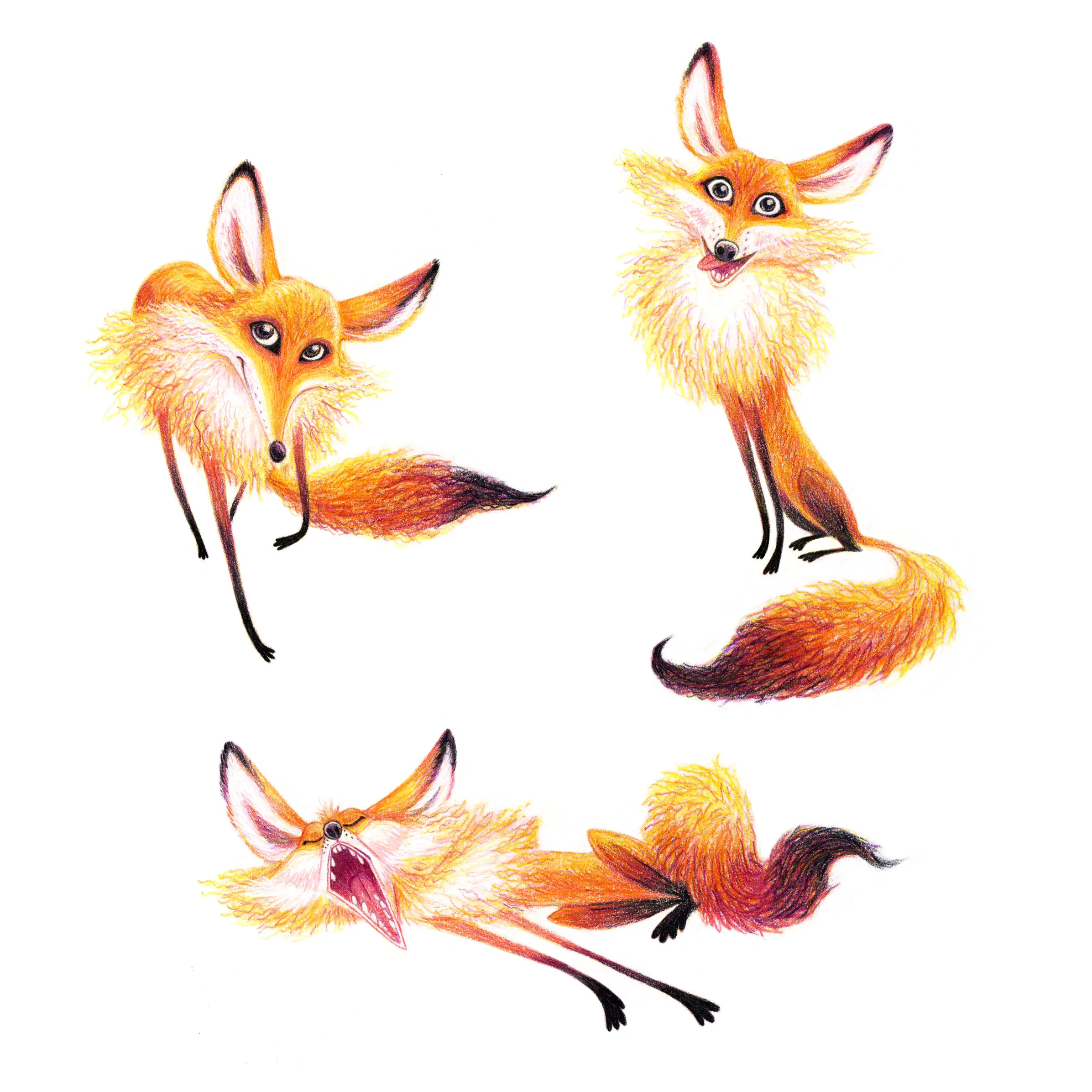 Version2_MRFOXYFOX_01.jpg