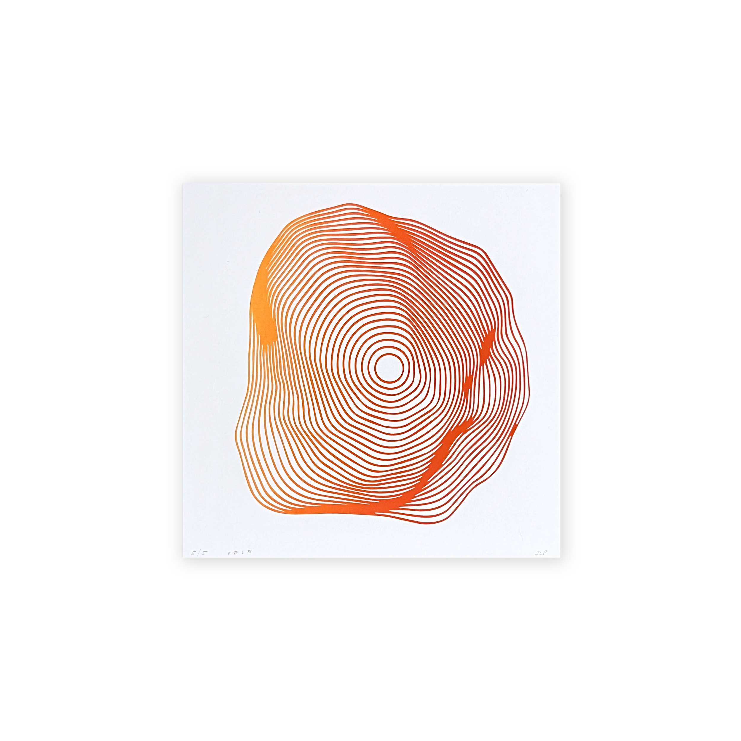 2024-Pele-Jamin Pablo-Web.png