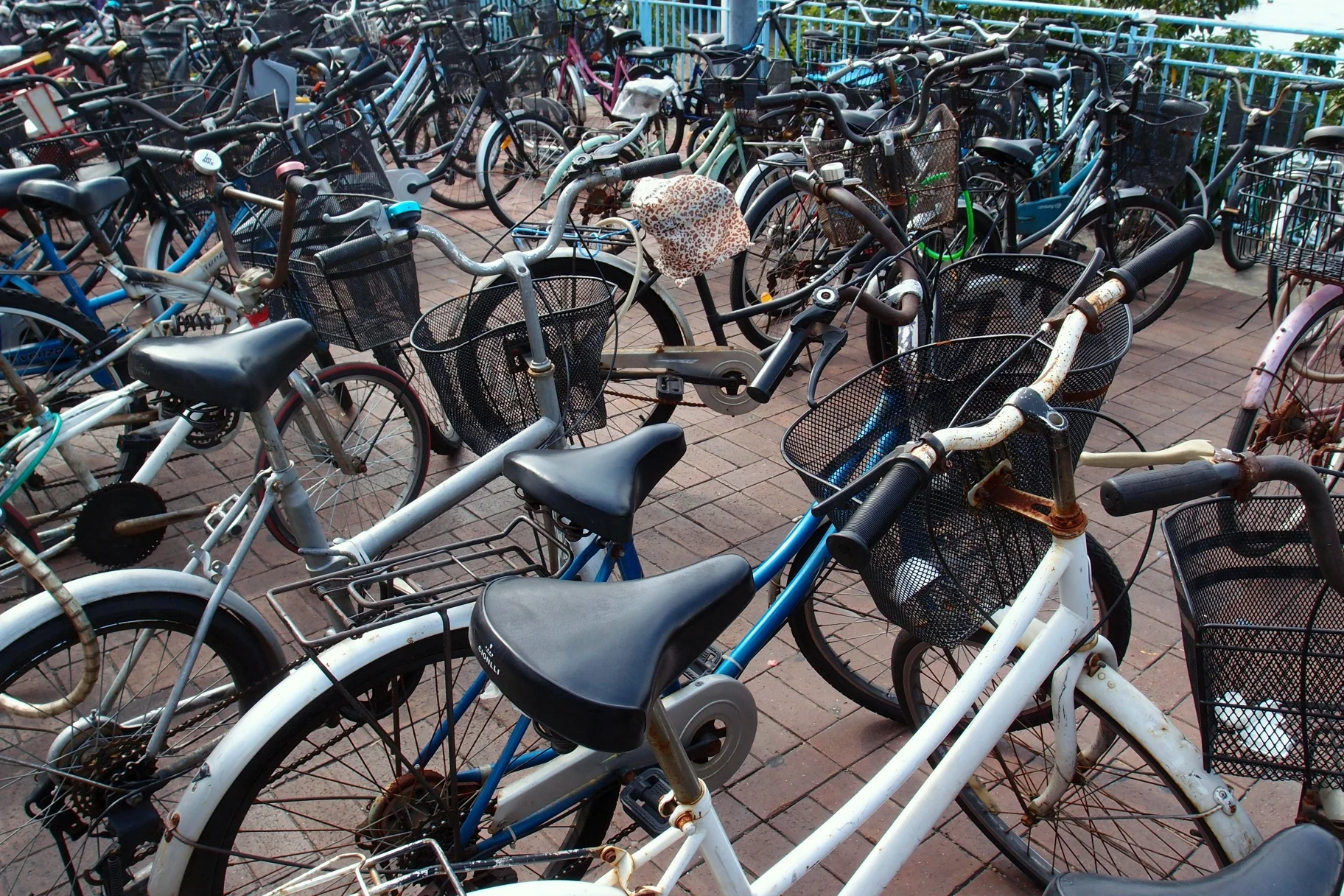 You have to be a bit of a nutter to ride a bike on our roads