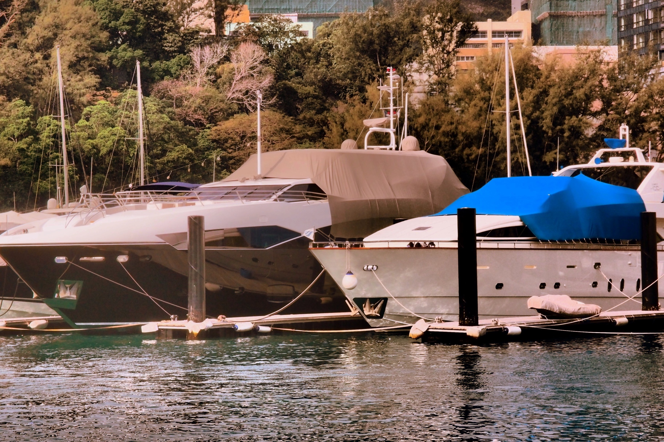 Aberdeen Marina, for the rich folk