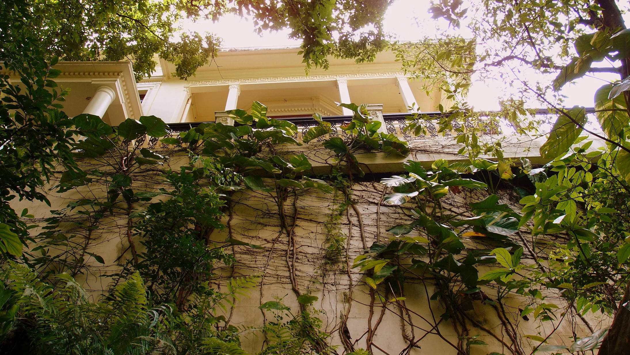 No. 1 Chatham Path - a gorgeous house