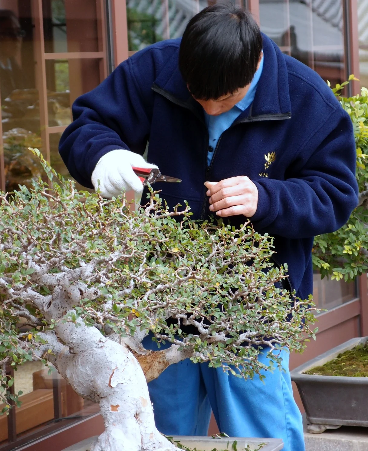Trimming is taken very seriously