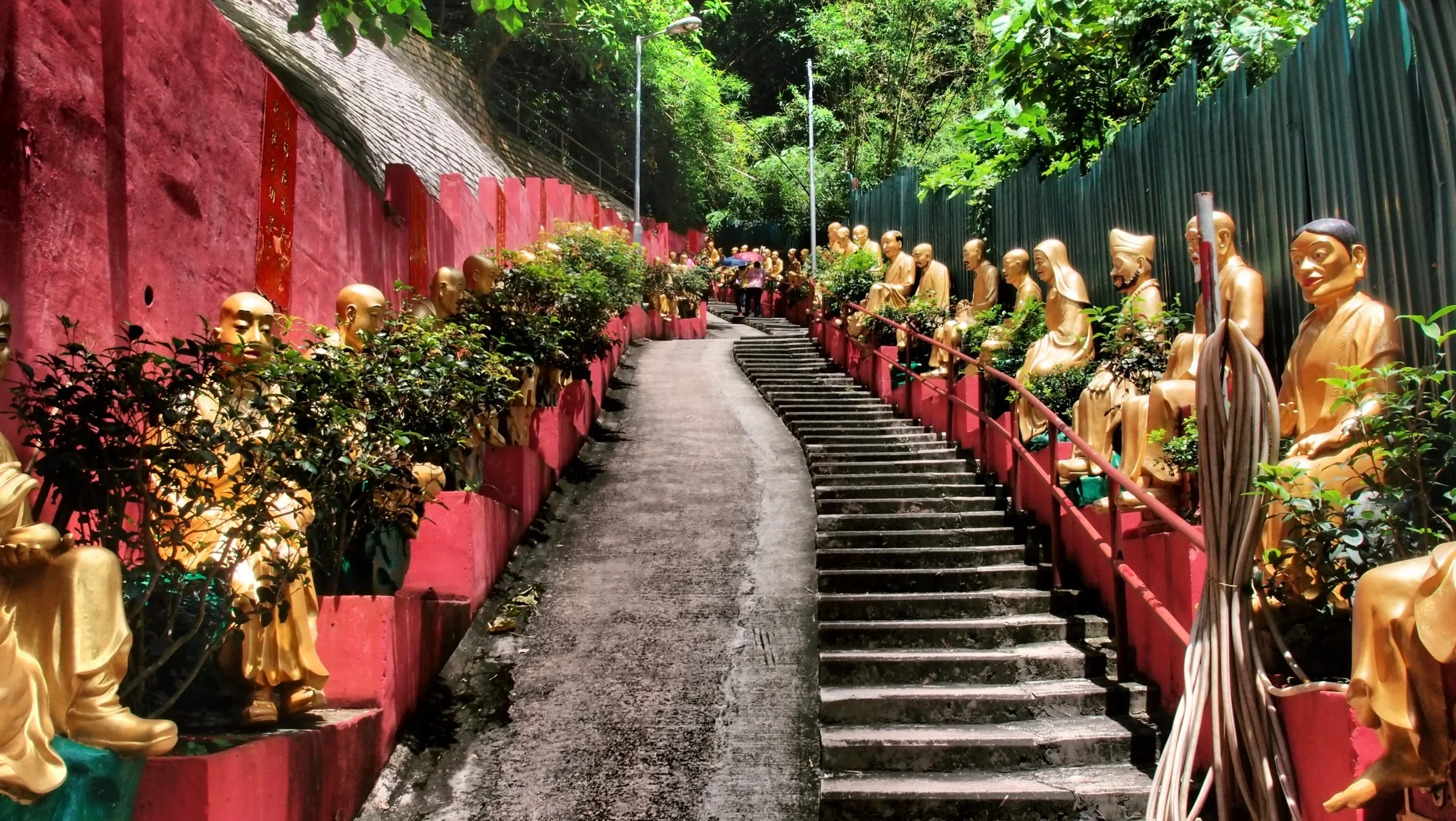 This is what awaits you, 423 steps.... I always take it very slowly and there are places to sit on the way up, the steps are a lot easier than the path by the way