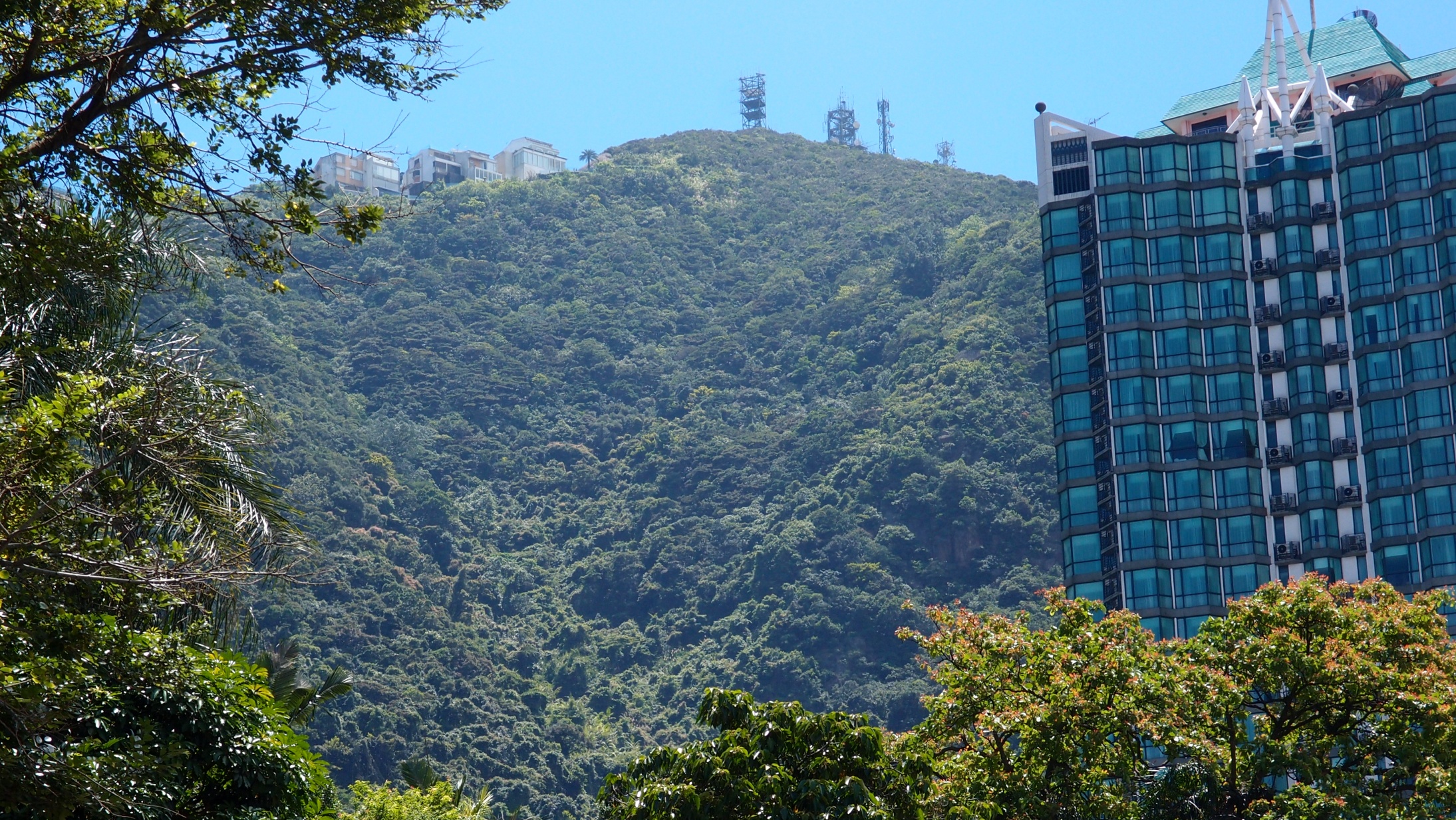 a view of the "true" Peak