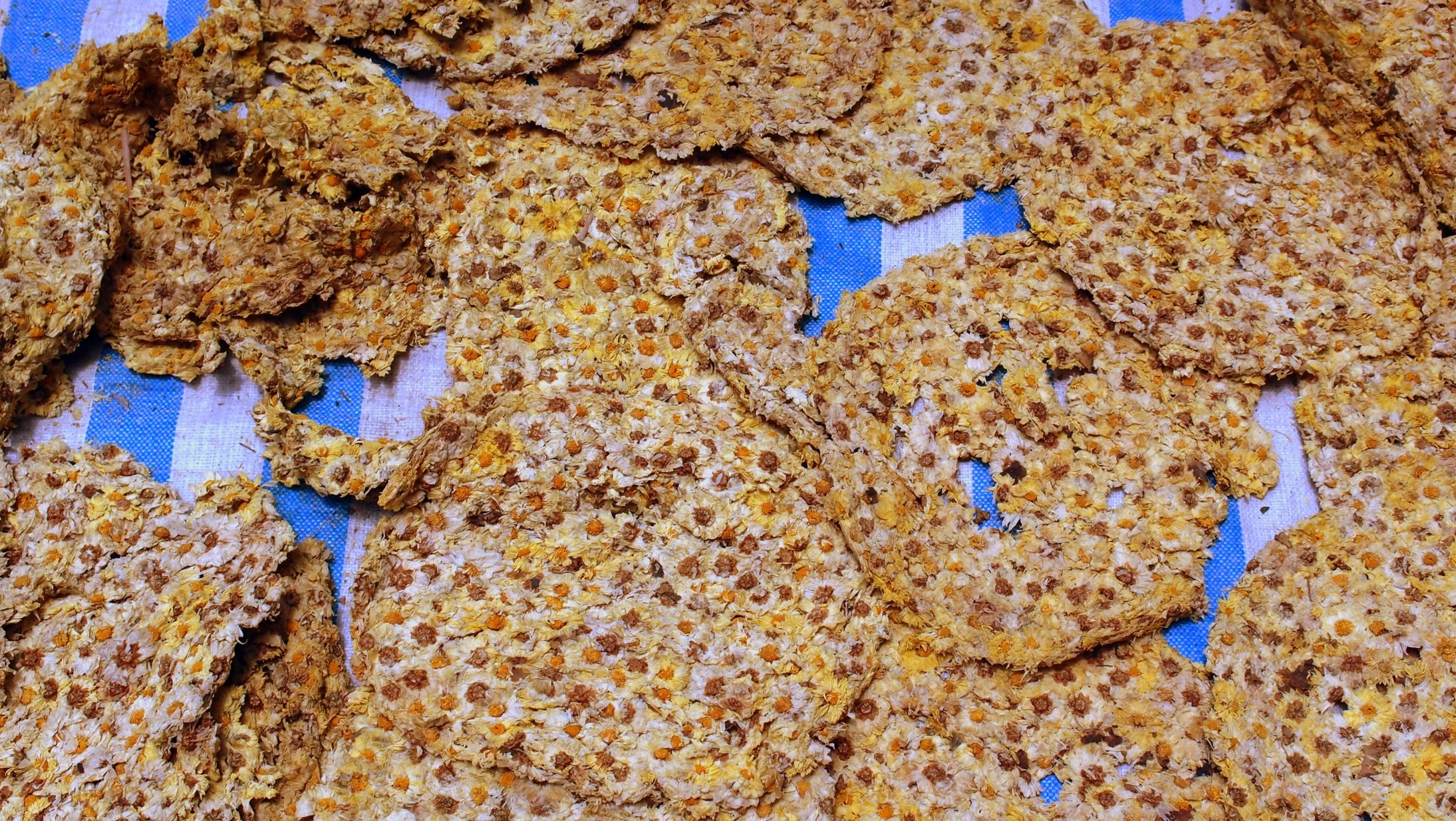 Pizza vomit drying in the road