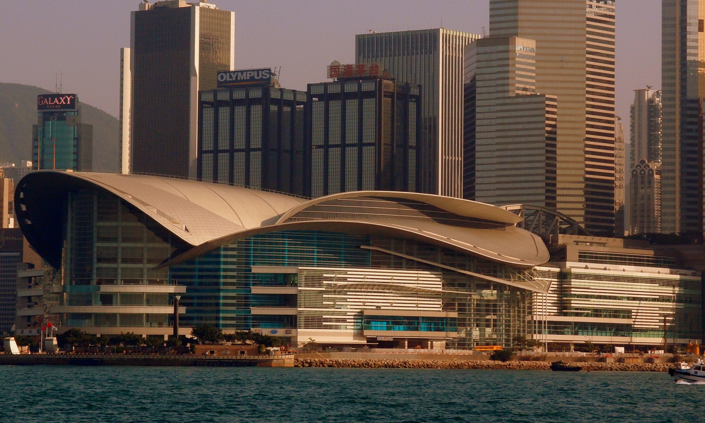 The Poster Boy for the Hong Kong Government