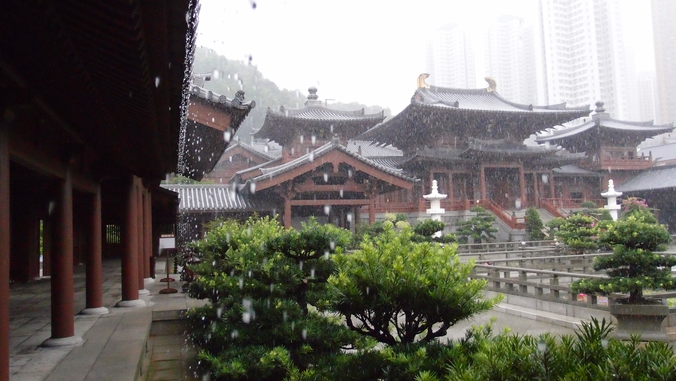 Some places look brilliant in heavy rain - the Chi Lin Nunnery in Diamond Hill