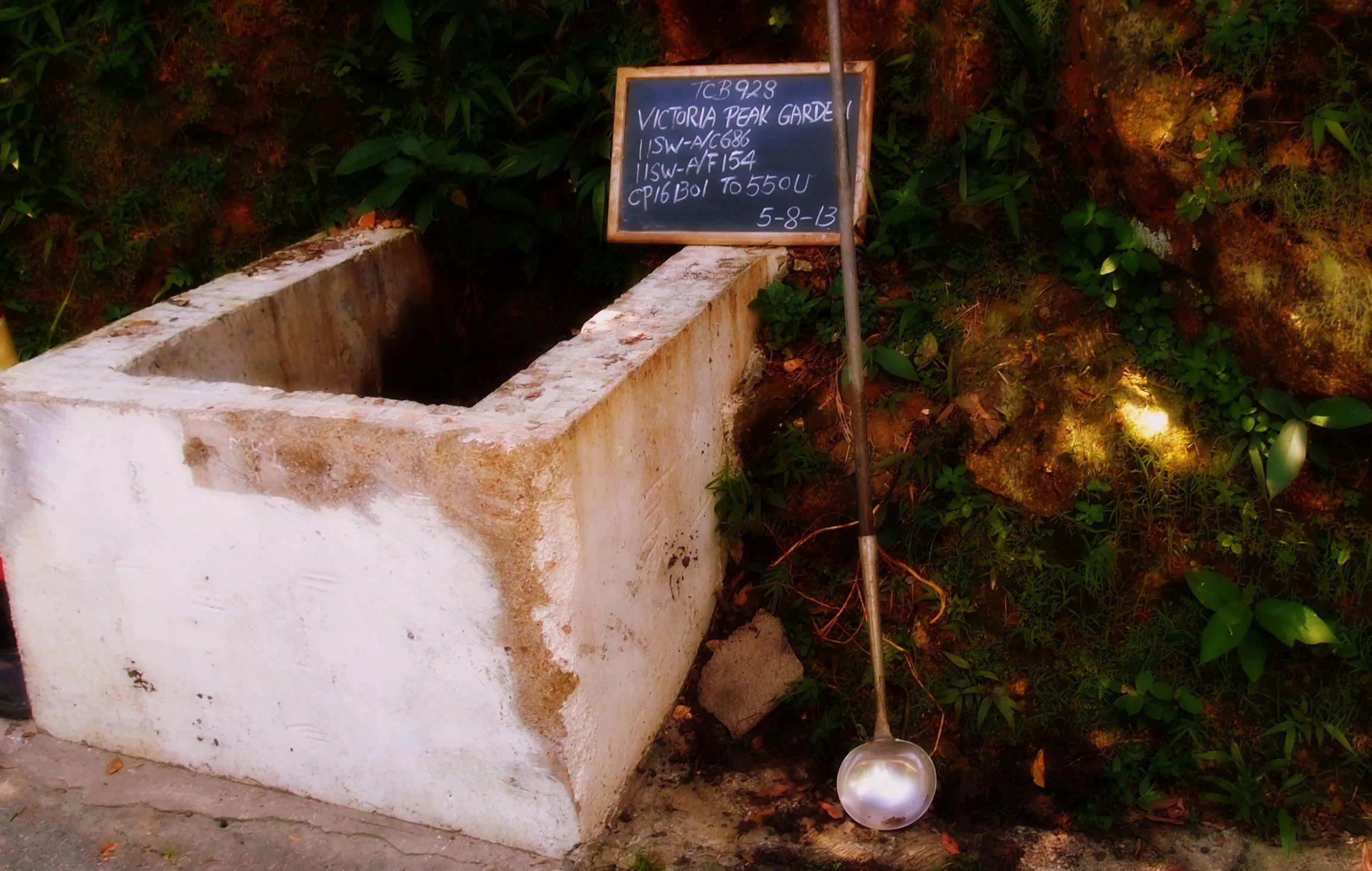 Deep dykes at Victoria Peak Garden