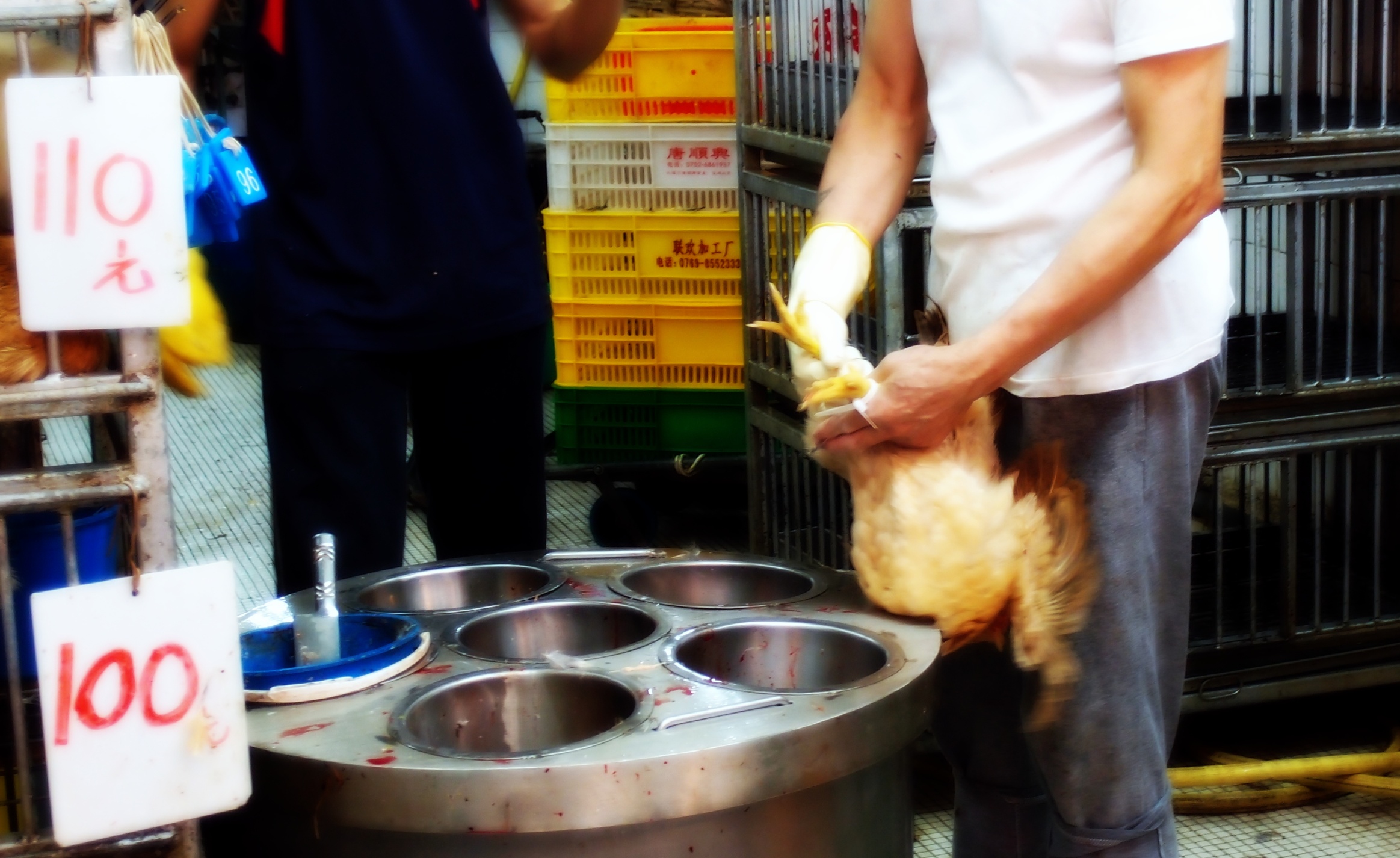 Stage 2 - tag the chicken and pay the man