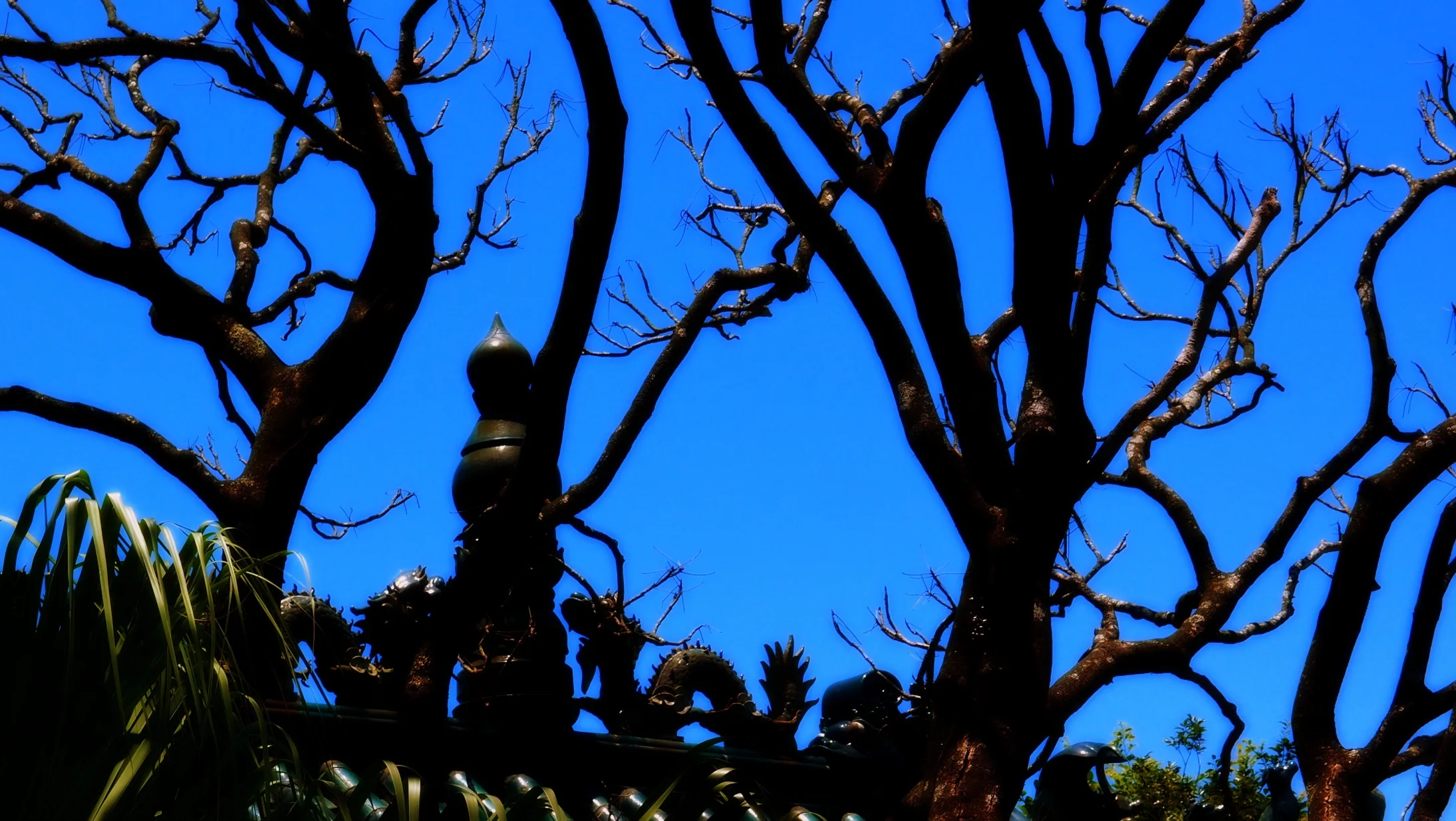 Look at that blue sky