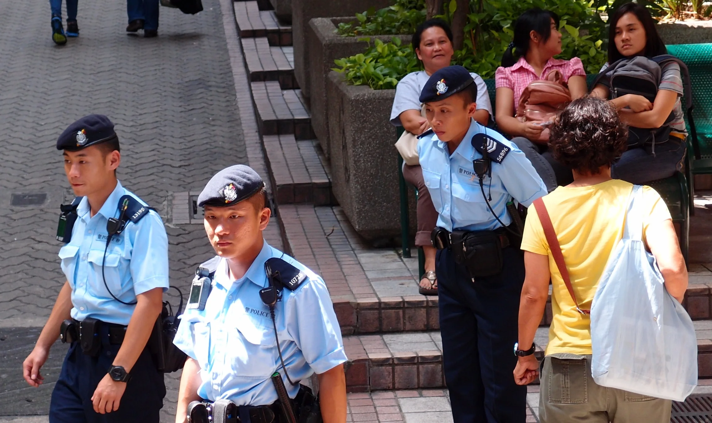 Our PTU coppers