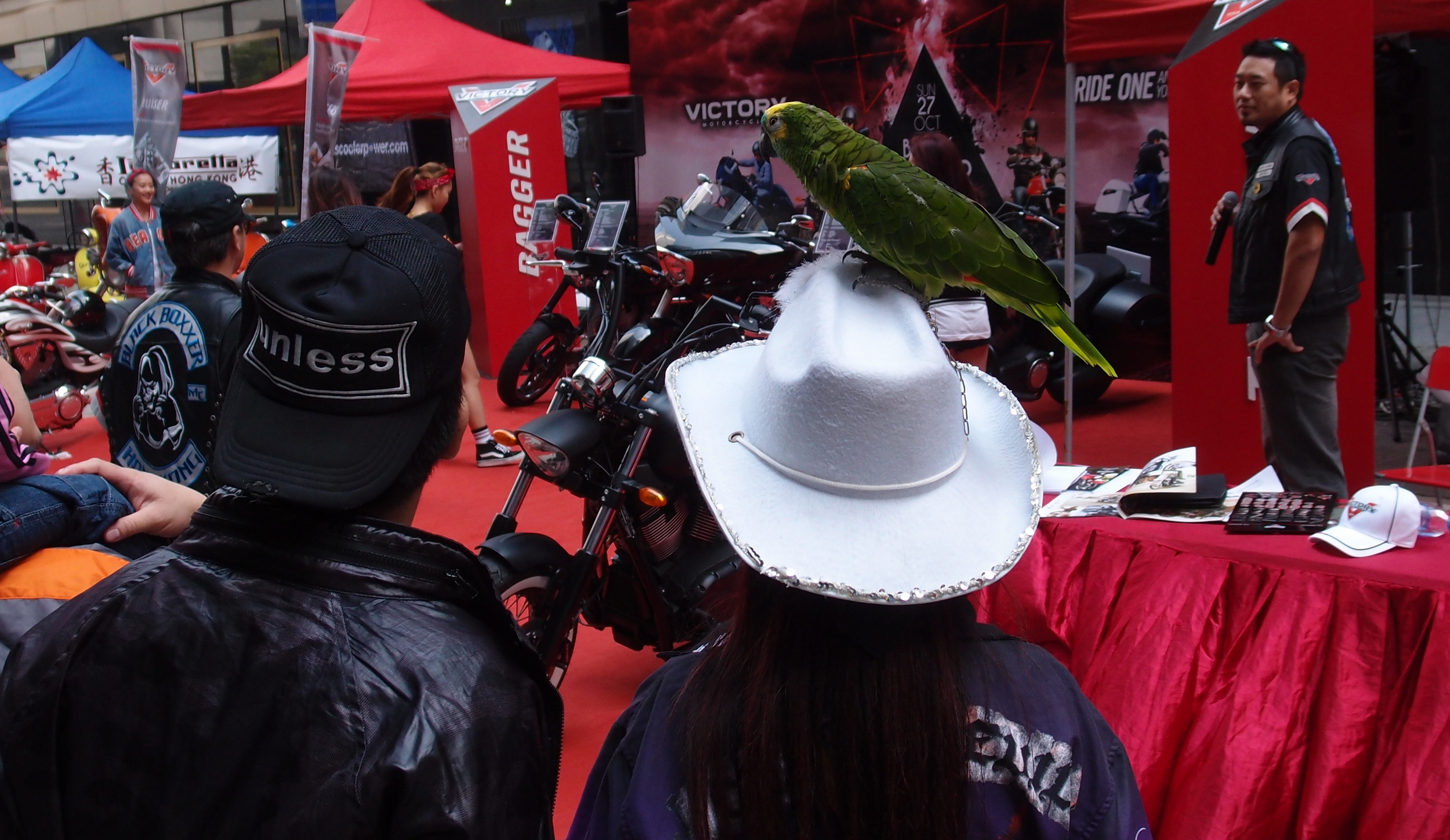Yes, this lady really was walking around with a parrot on her head.