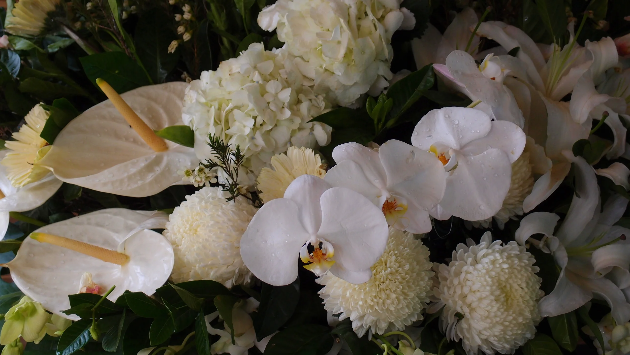 Hong Kong Cultural Tour The Hong Kong Funeral Home — J3 Private Tours