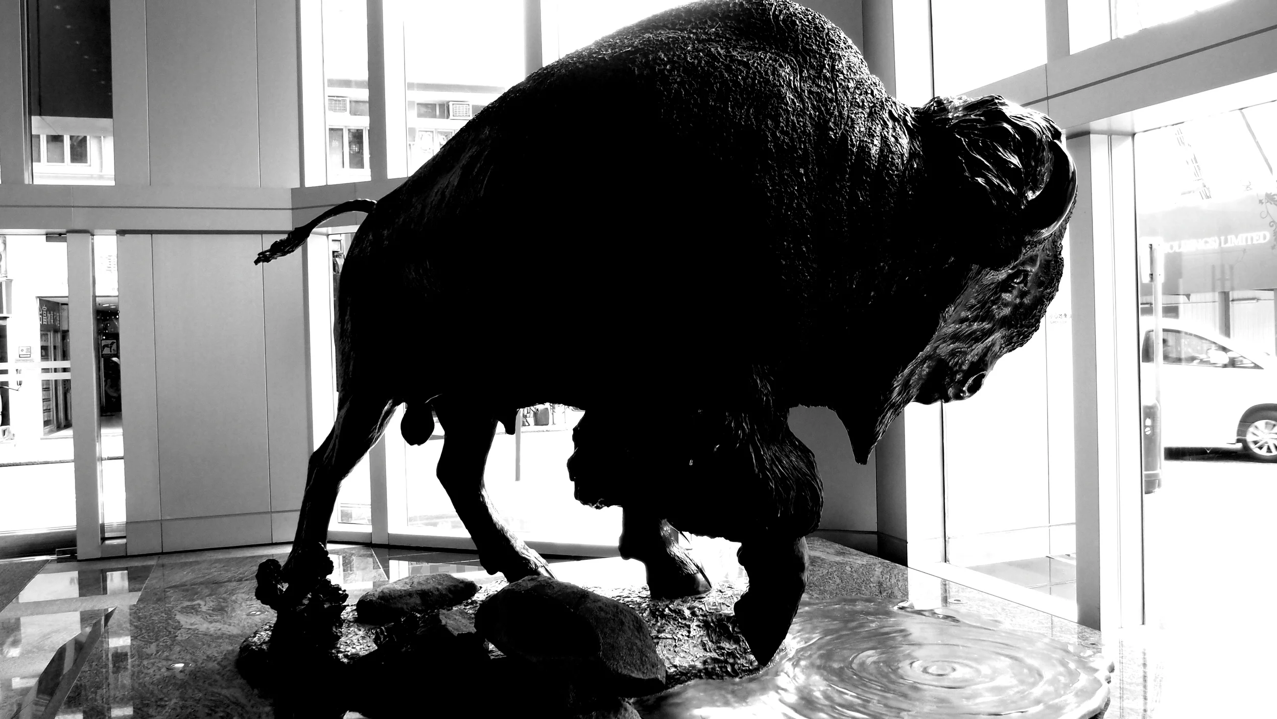 A bison statue in the AIA Building in North Point on Oil Street, anatomically correct, "tackle" and all.....