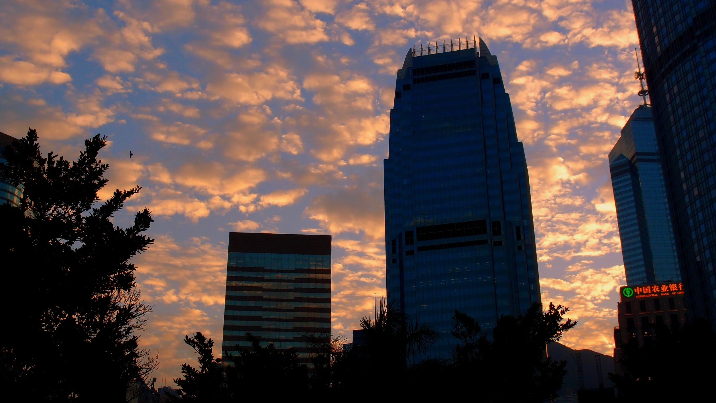 Sunset, Central Business District, Hong Kong Island.