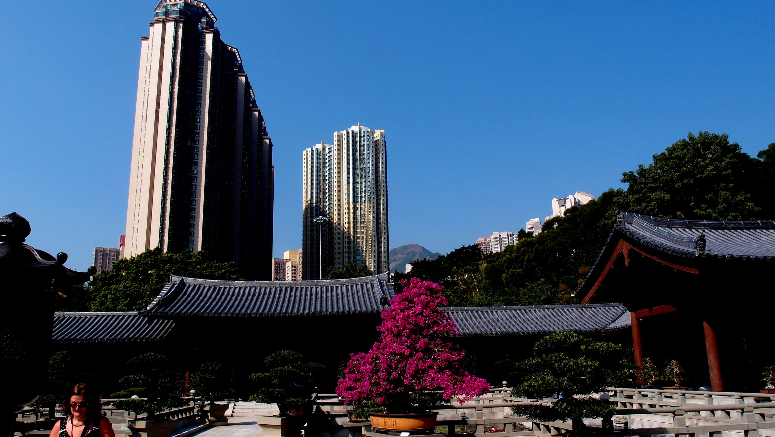 Apartments at Diamond Hill as seen from the Chi Lin Nunnery