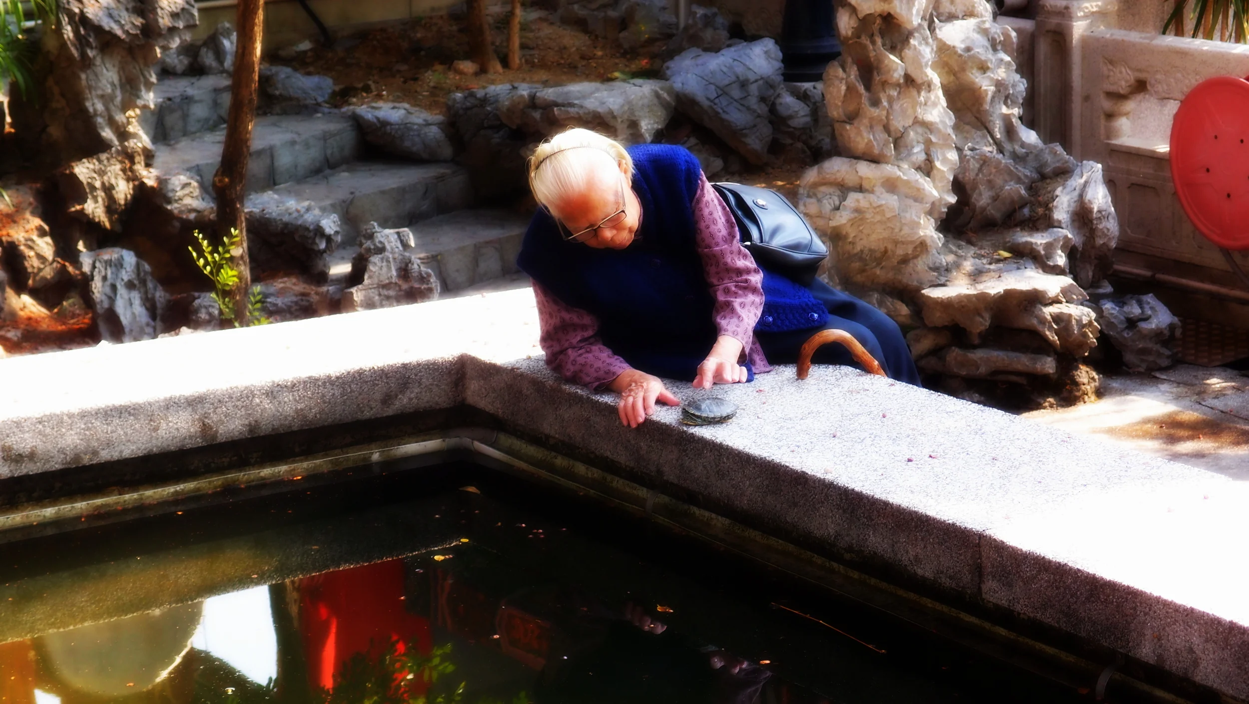 One of these days this old biddy is going to fall in and the turtles are going to exact a terrible revenge.