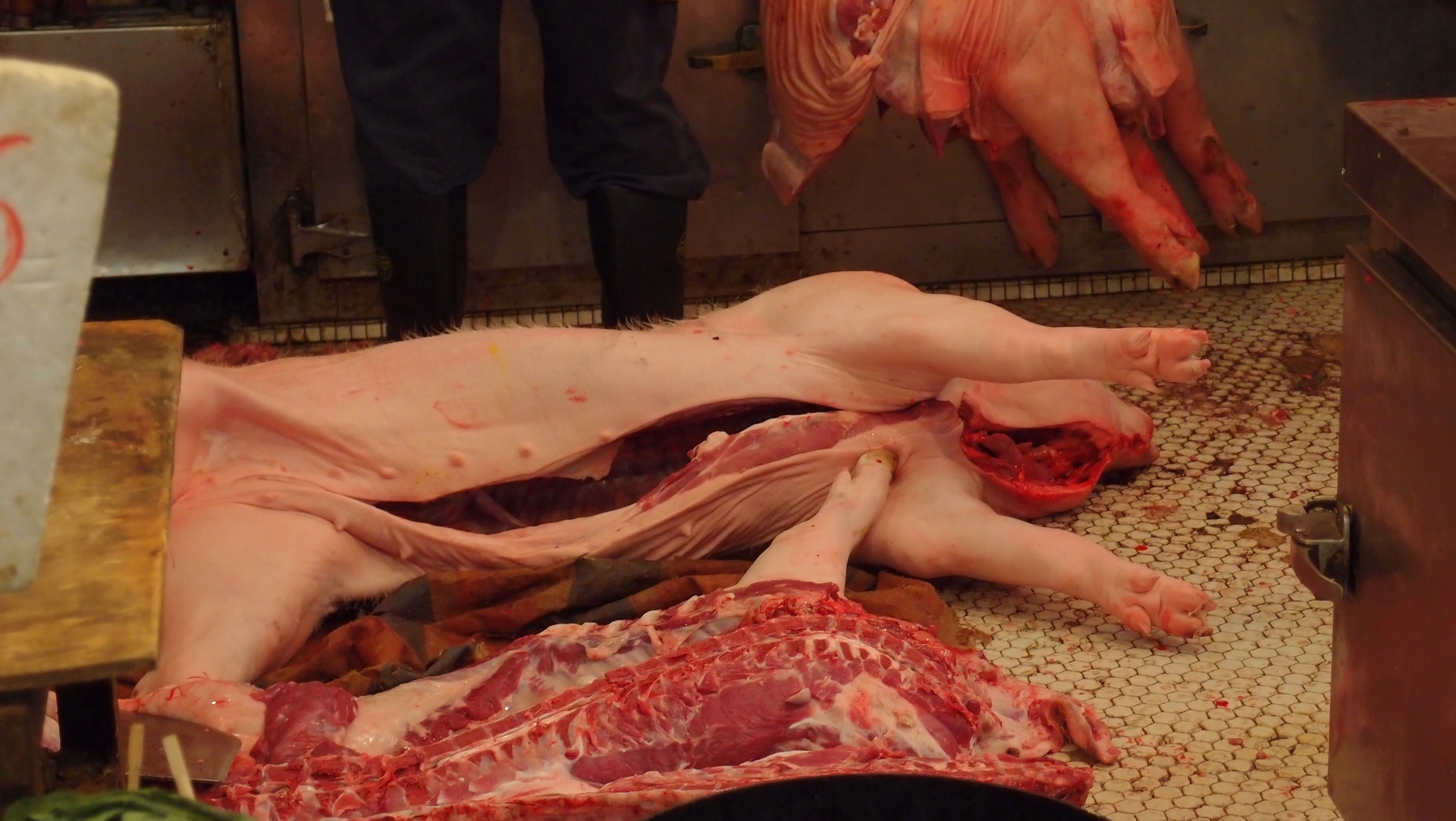 Not a happy pig at all, still it has probably gone to oig heaven