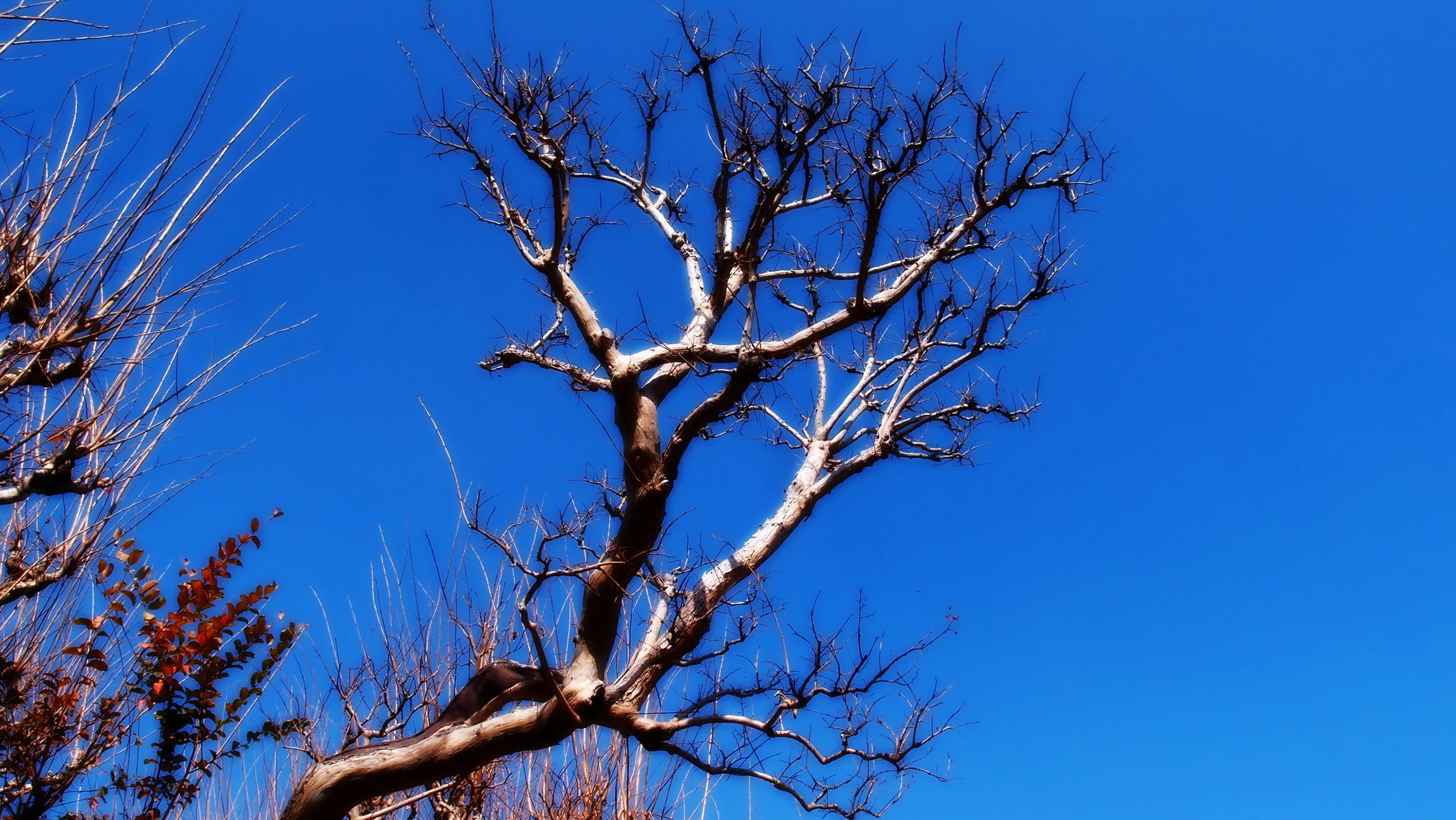 One of my more creative shots.