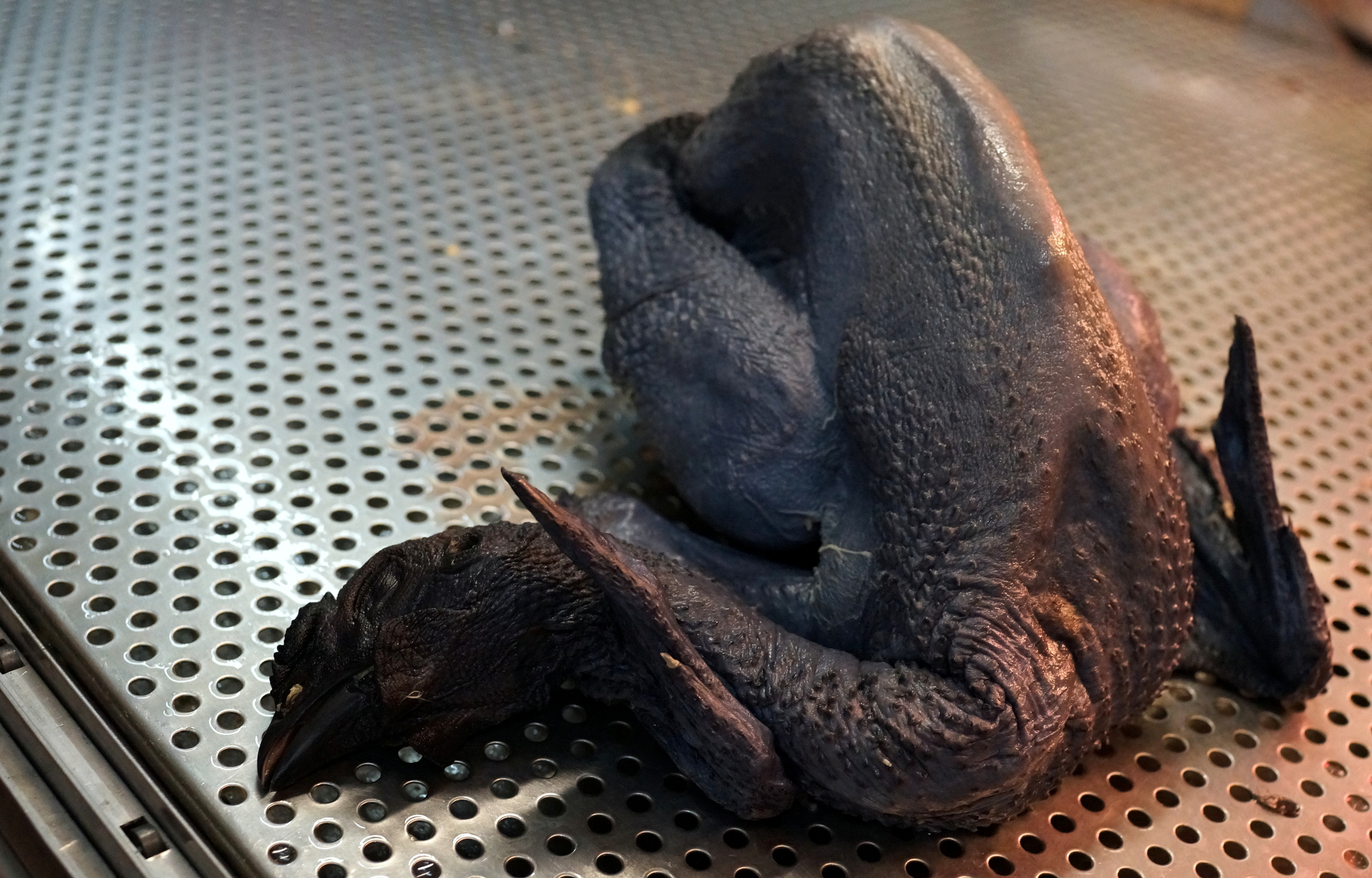 The just plain nasty Hong Kong black chicken, it is not at all happy