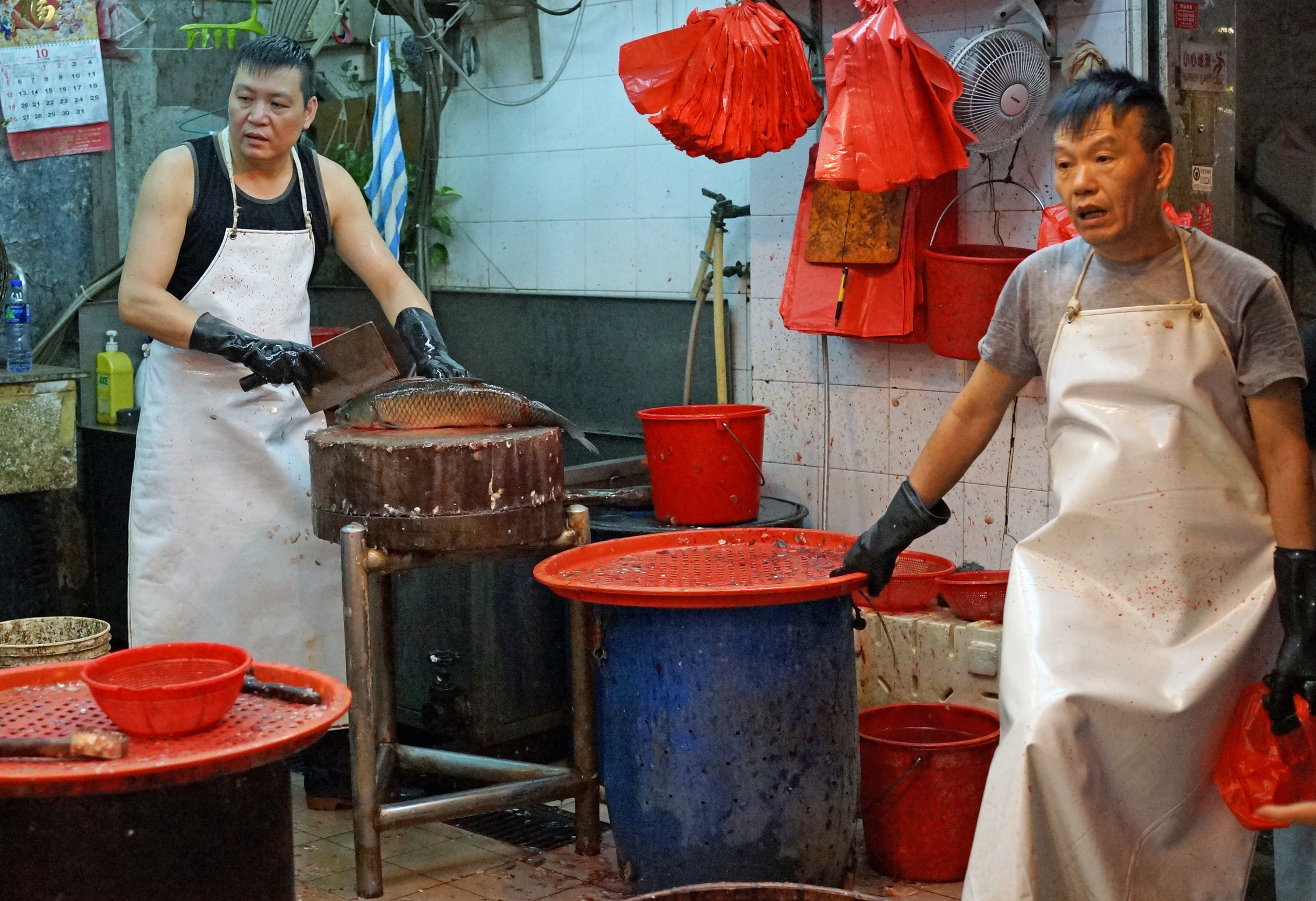 A fish is just about to become an ex fish in Mong Kok market, it is quite something to see the heart of the fish still beating after it has been sliced and diced and turned into a zombie fish. Go here for all my Mong Kok Wet Market images