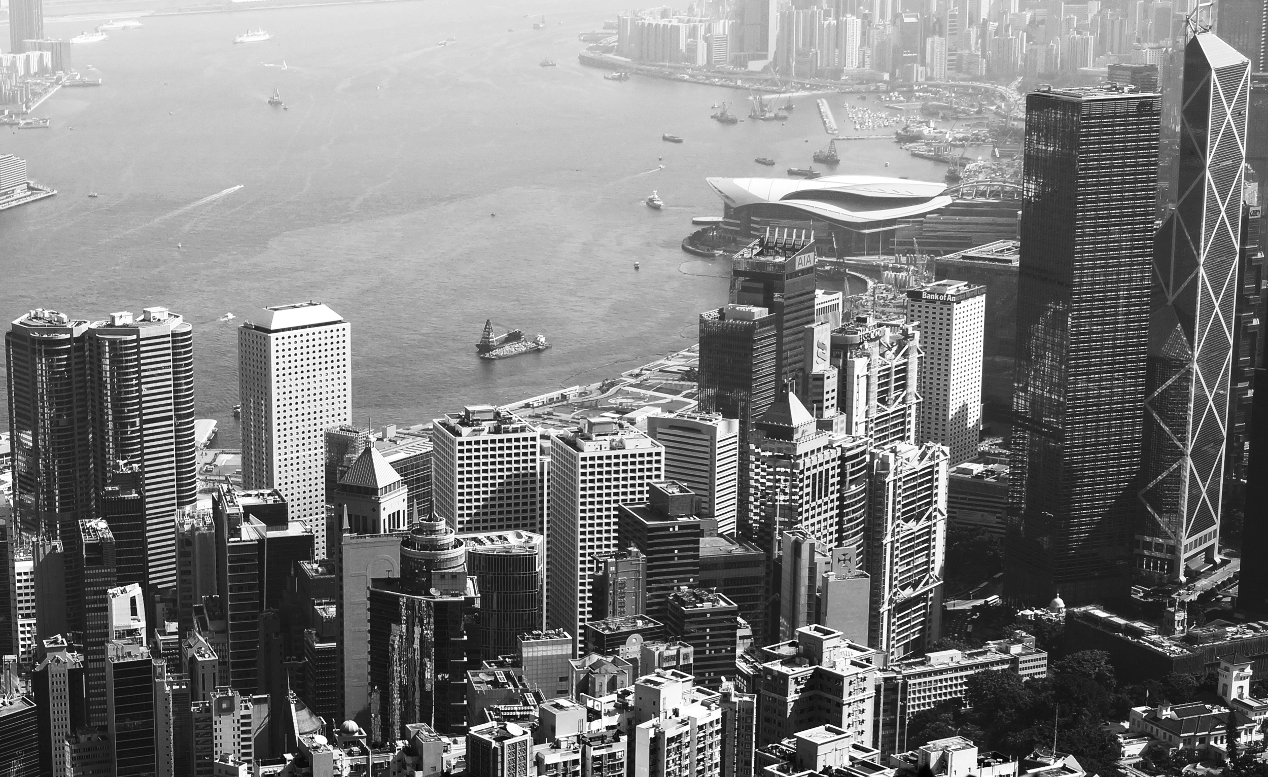 Hong Kong from the Peak in Black and White.