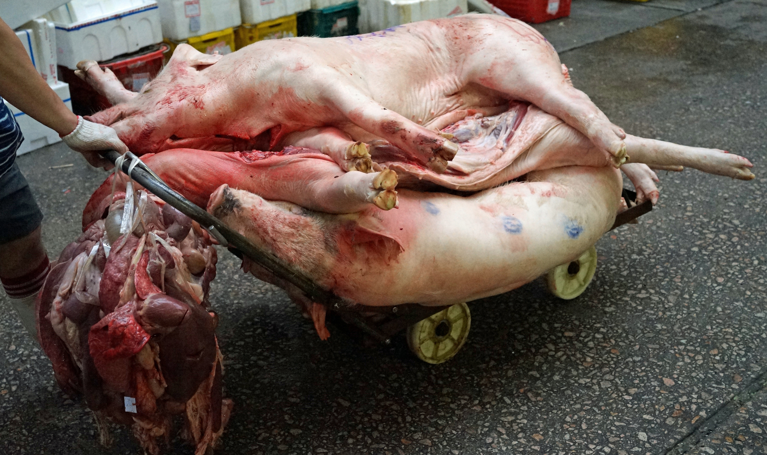 I almost got nailed again by my nemesis the killer trolleys, then I noticed the recently decreased pigs who unlike the zombie fish and their still beating hearts were stone cold dead. -