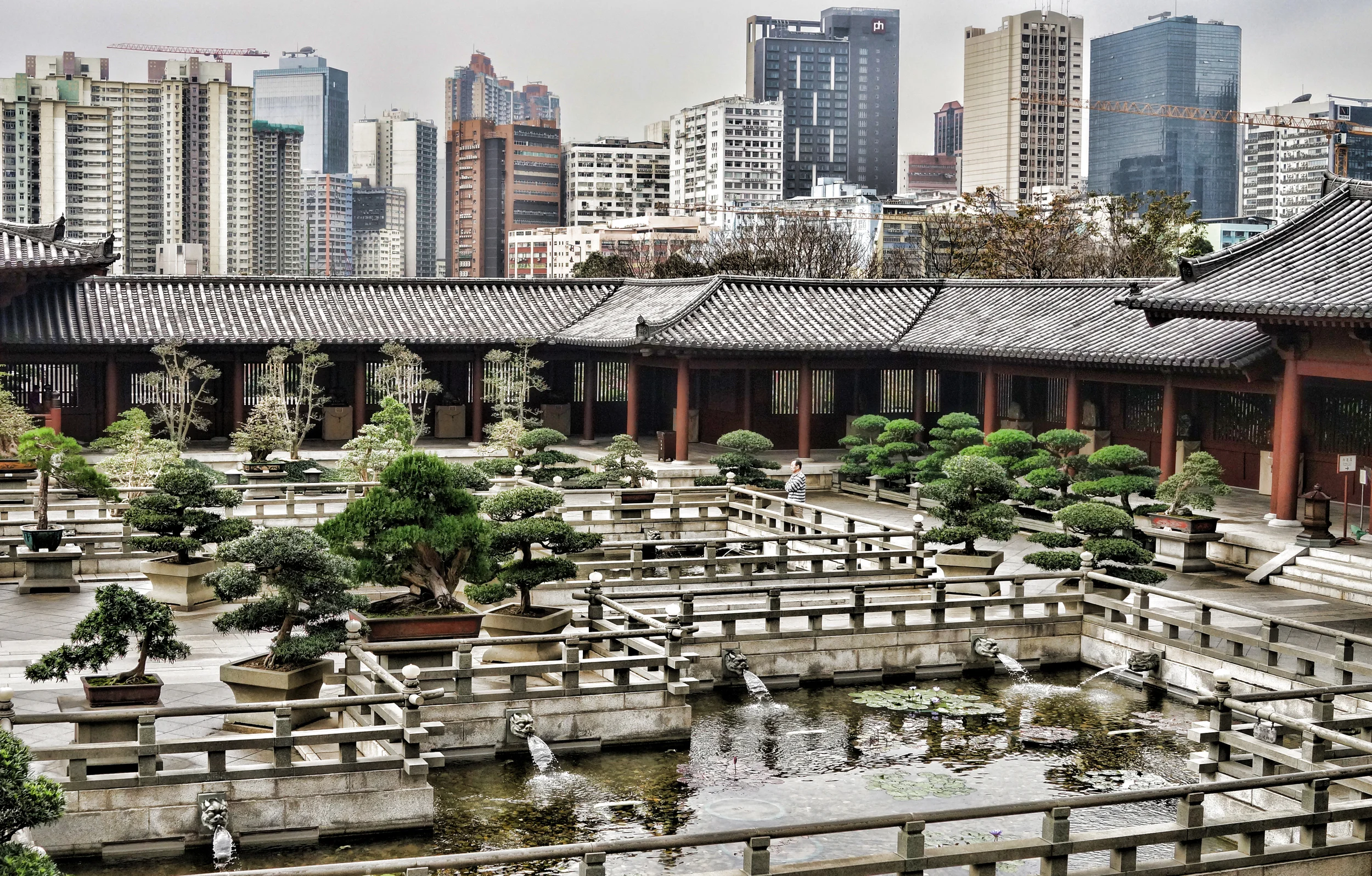 The Chi Lin Nunnery, peace and tranquility in Diamond Hill