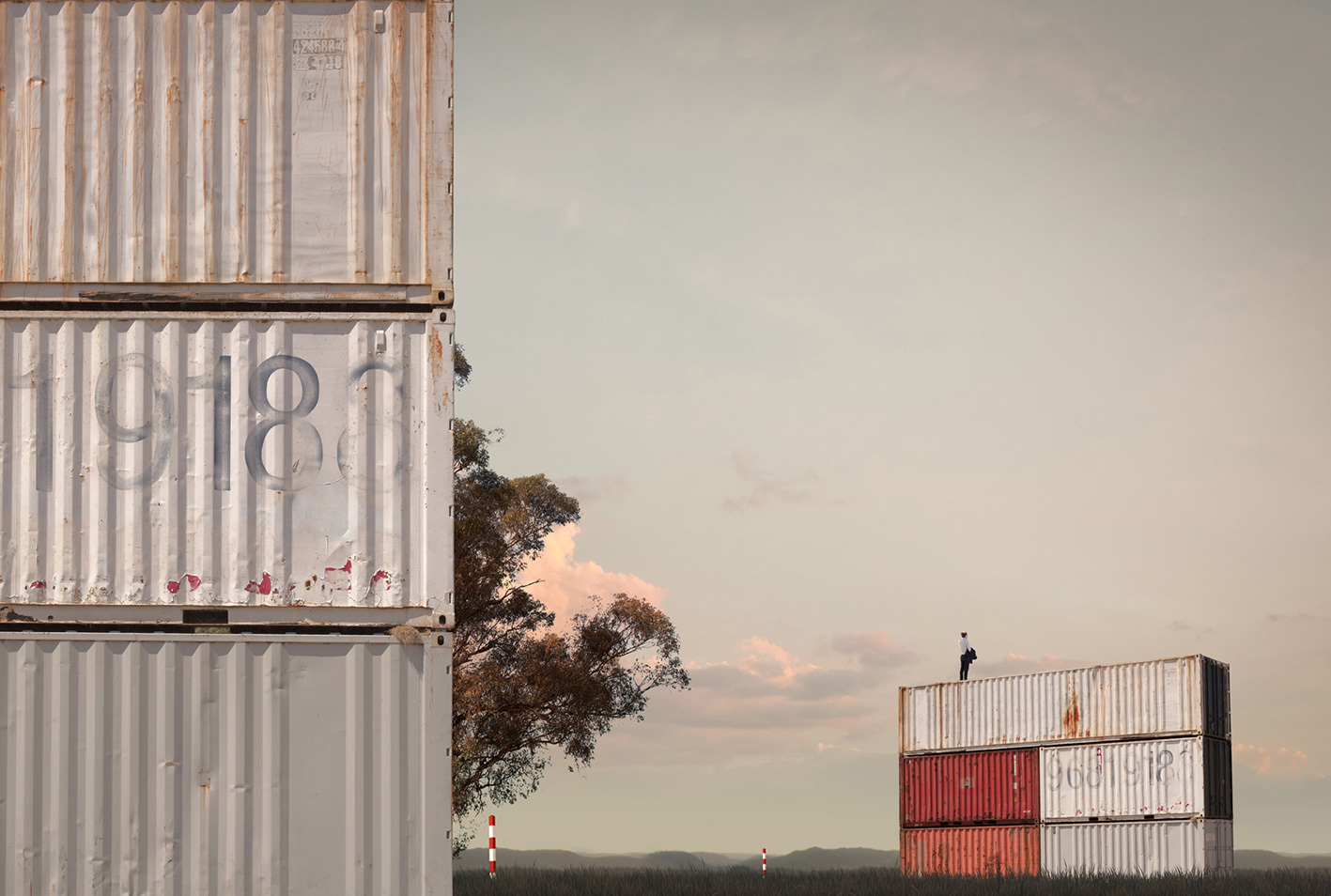 Container Field