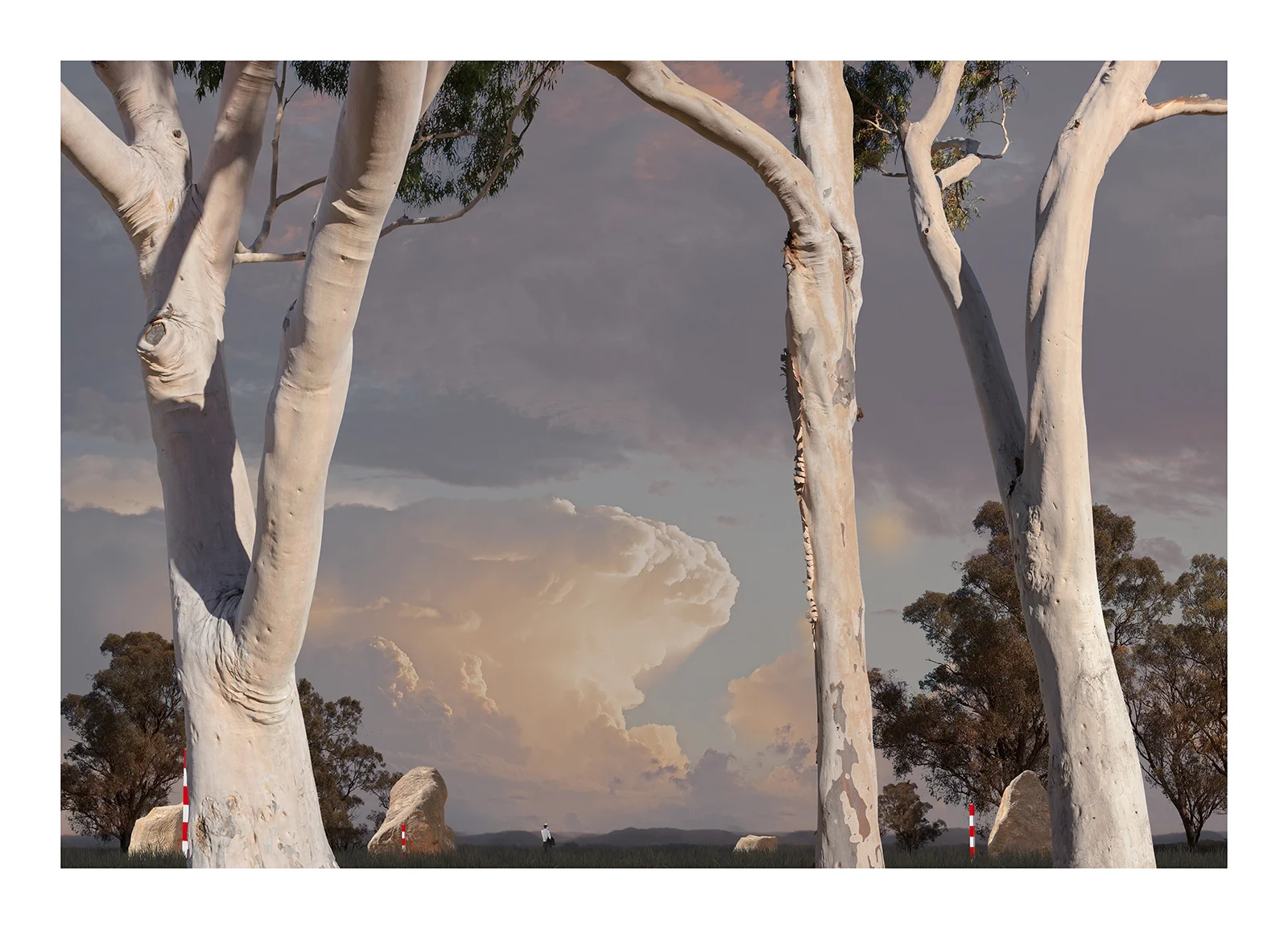 115x159.5cm_7.5cmWhite_TreesofMona.jpg