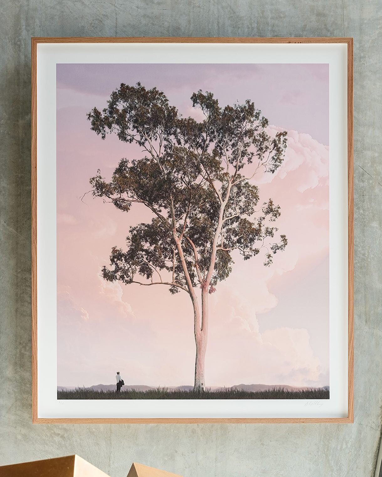 After the rain&hellip;.

Morning Tree
Archival Pigment Print
Handfinished, Vic Ash natural frame with Anit-Reflect glass
115cm x 139cm	
1/10 +2AP - @otomys