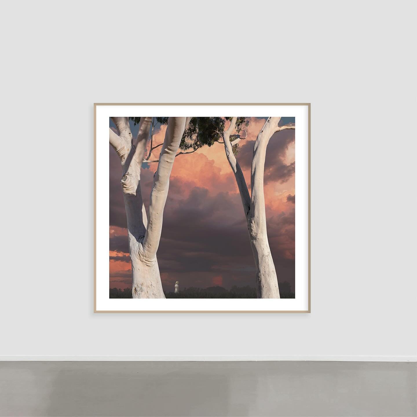 I'm pleased to present a new body of work: Equilibrium
Represented and available via @Otomys

Artwork Title: Awakening

__

Lindsay Blamey explores the charged stillness that precedes transformation, capturing the delicate balance between tension and
