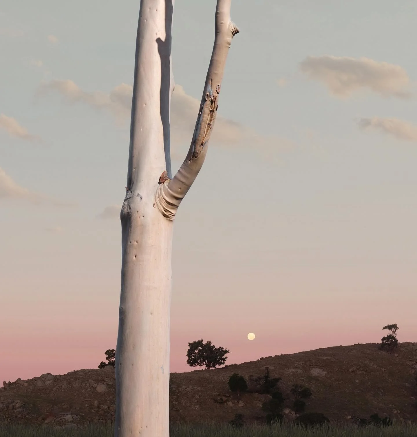 Moonrise Valley. (Detail)
#detail #landscape #moonrisevalley