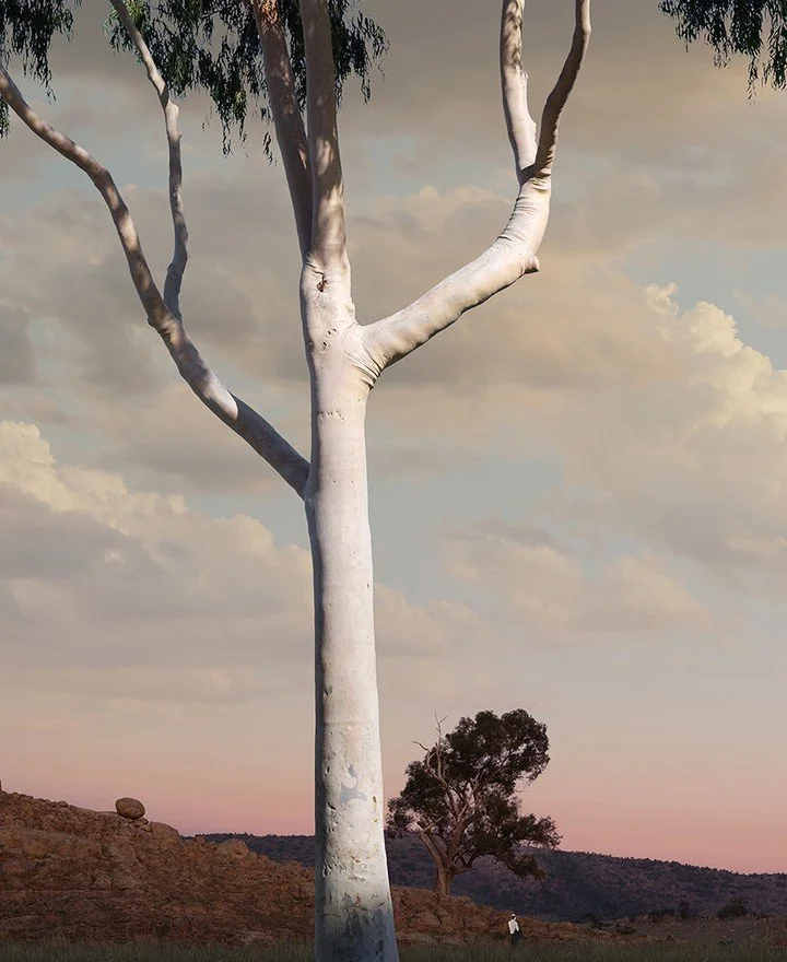 MOONRISE VALLEY
180 &times; 110cm &ndash; /10
216 &times; 132cm &ndash; /7

Available to view at @Otomys gallery 
from 23 Jan - 6 Feb.