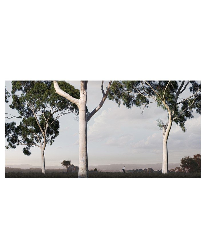 THROUGH THE QUIET

Available to view @OTOMYS
Link in Bio